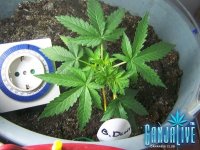 100_2244.JPG