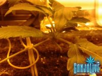 2014-05-25 23.09.33.jpg