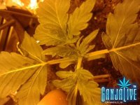 2014-05-25 23.09.55.jpg