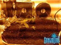 2014-05-26 02.33.28.jpg