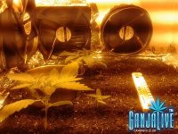 2014-05-27 01.31.25.jpg