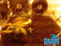 2014-05-27 01.39.52.jpg