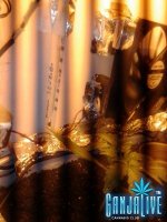 2014-05-27 01.40.25.jpg