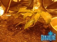 2014-05-27 01.41.08.jpg