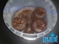 2014-05-27 02.19.24.jpg