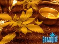 2014-05-28 02.36.01.jpg