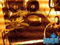 2014-05-28 02.36.14.jpg