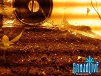 2014-05-28 02.36.33.jpg