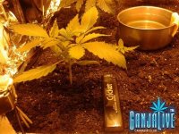 2014-05-28 02.38.42.jpg