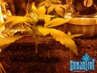 2014-05-28 22.53.50.jpg