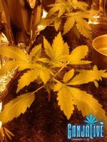 2014-05-28 22.53.56.jpg