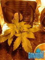 2014-05-28 22.54.15.jpg