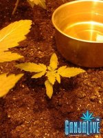 2014-05-28 22.54.20.jpg