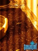 2014-05-28 22.54.29.jpg