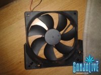 2014-05-28 22.43.26.jpg