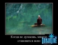 8469044yc6.jpg