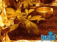 2014-05-29 19.00.51.jpg