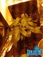 2014-05-29 19.01.00.jpg