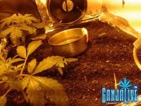 2014-05-29 19.01.11.jpg