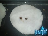 2014-05-31 21.25.34.jpg