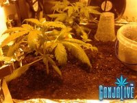 2014-05-31 21.36.59.jpg