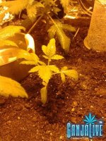 2014-05-31 21.37.06.jpg