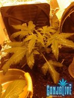 2014-05-31 21.37.10.jpg