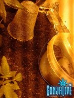 2014-05-31 21.37.20.jpg