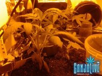 2014-06-02 18.09.48.jpg