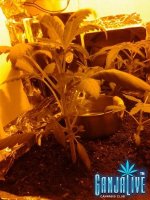 2014-06-02 18.10.03.jpg