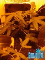 2014-06-02 18.10.08.jpg