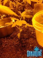 2014-06-02 18.10.14.jpg