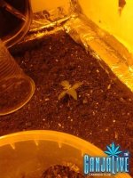 2014-06-02 18.10.20.jpg