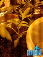 2014-06-02 19.23.36.jpg