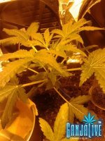 2014-06-02 19.23.42.jpg