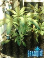 2014-06-03 05.53.26.jpg