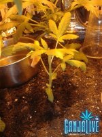 2014-06-03 05.53.41.jpg