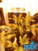 2014-06-03 05.53.58.jpg