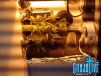 2014-06-03 05.54.07.jpg