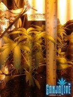 2014-06-03 22.38.39.jpg