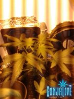 2014-06-03 22.38.58.jpg