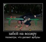 17544d08ec79d76b1.jpg