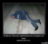 2764d297e22eb104.jpg
