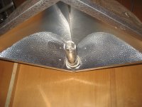IMG_3441.jpg