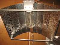 IMG_3442.jpg