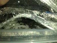 280120111364.jpg