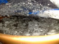 280120111366.jpg