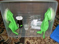 IMG_3168.jpg