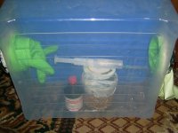 IMG_3178.jpg