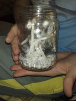 080220111393.jpg